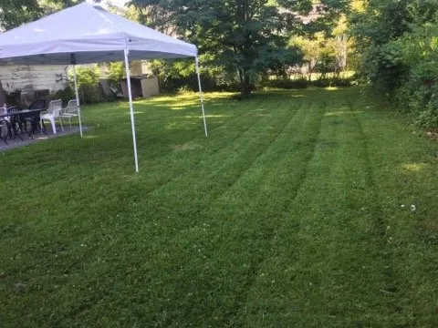 Local yard maintenance experts serving Maple Heights, OH - Lawn Precision