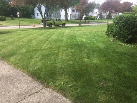 Custom yard cleanup service experts serving Maple Heights, OH - Lawn Precision