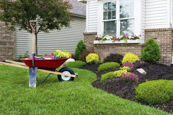 Professional yard maintenance experts serving Melbourne, FL - Lawn Precision