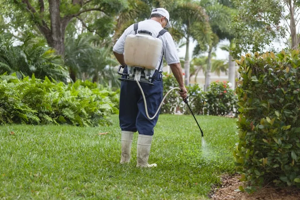 Custom landscaping services in Melbourne, FL by Lawn Precision