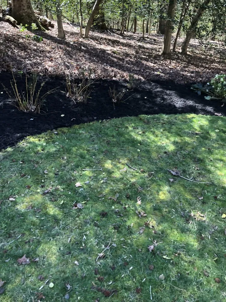 Professional residential landscaping in Henrico, VA - Lawn Pretty