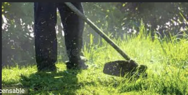 Local yard maintenance experts serving Henrico, VA - Lawn Pretty