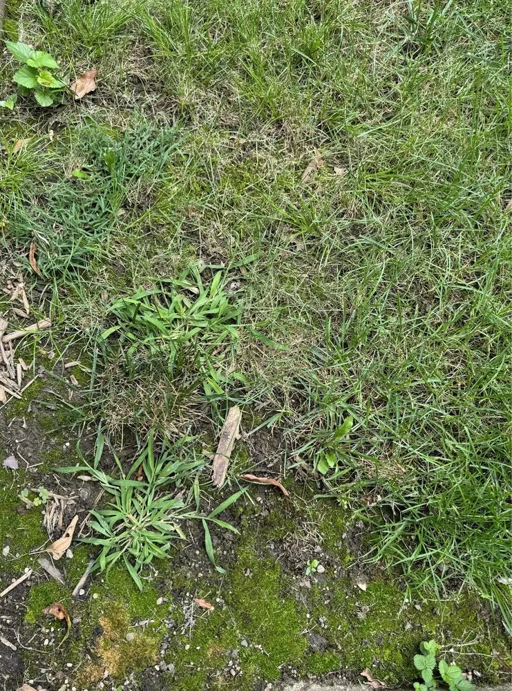 Trusted landscaping services experts serving Carmel, IN - Lawn Pride of Lafayette, Kokomo, Muncie