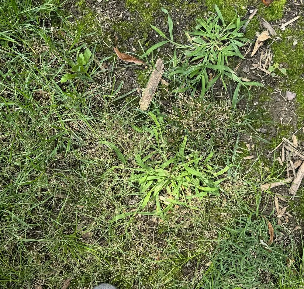 Trusted yard maintenance for year-round maintenance across Carmel, IN - Lawn Pride of Lafayette, Kokomo, Muncie