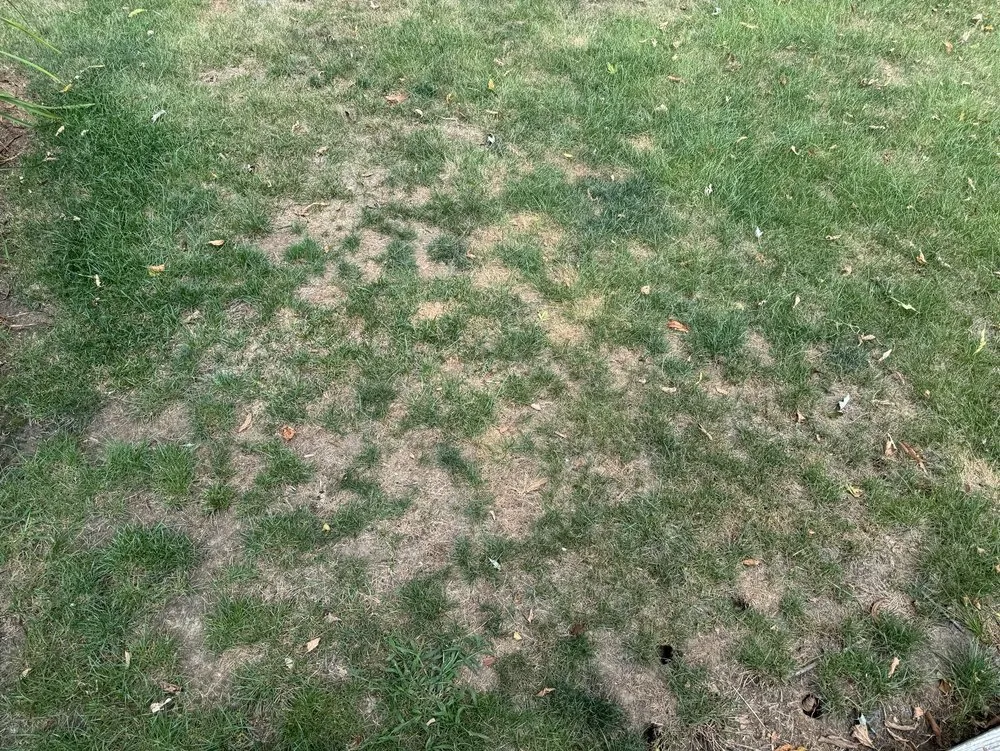 Affordable residential landscaping in Carmel, IN by Lawn Pride of Lafayette, Kokomo, Muncie