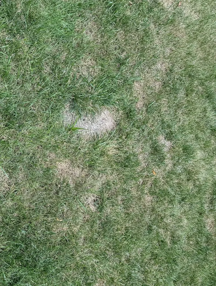 Local garden landscaping in Carmel, IN - Lawn Pride of Lafayette, Kokomo, Muncie