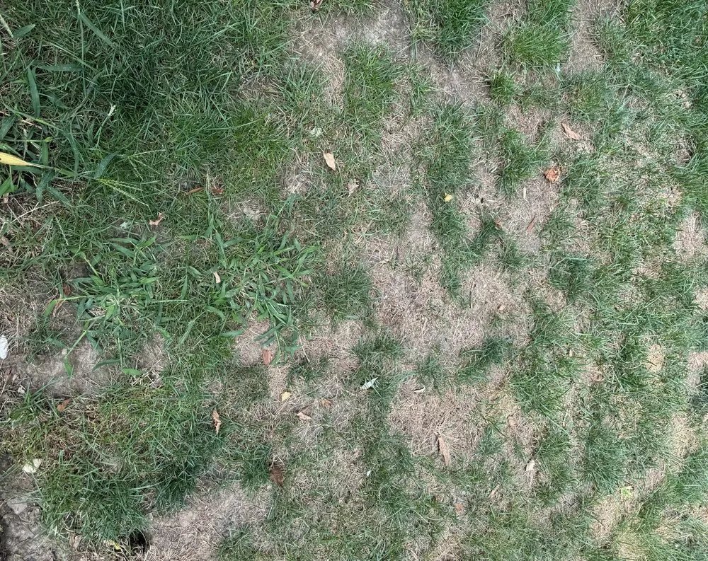 Custom outdoor landscaping for residential properties across Carmel, IN - Lawn Pride of Lafayette, Kokomo, Muncie