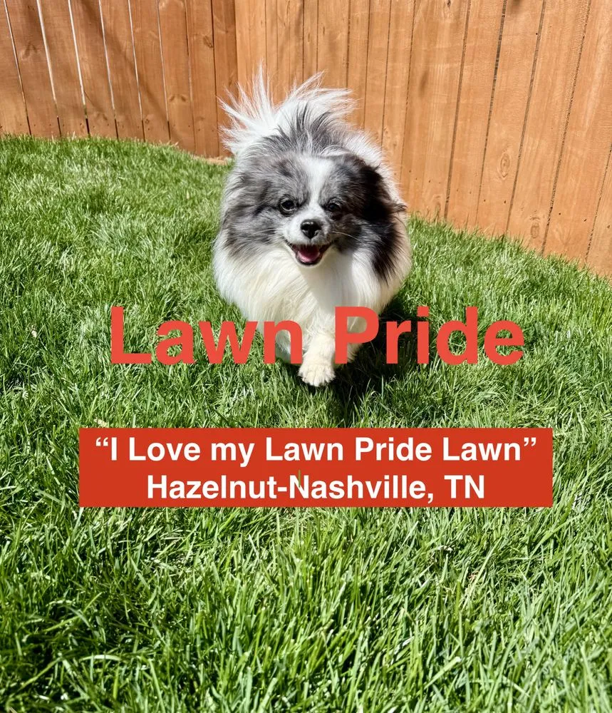 Affordable garden landscaping for year-round maintenance across Nashville, TN - Lawn Pride of North Nashville
