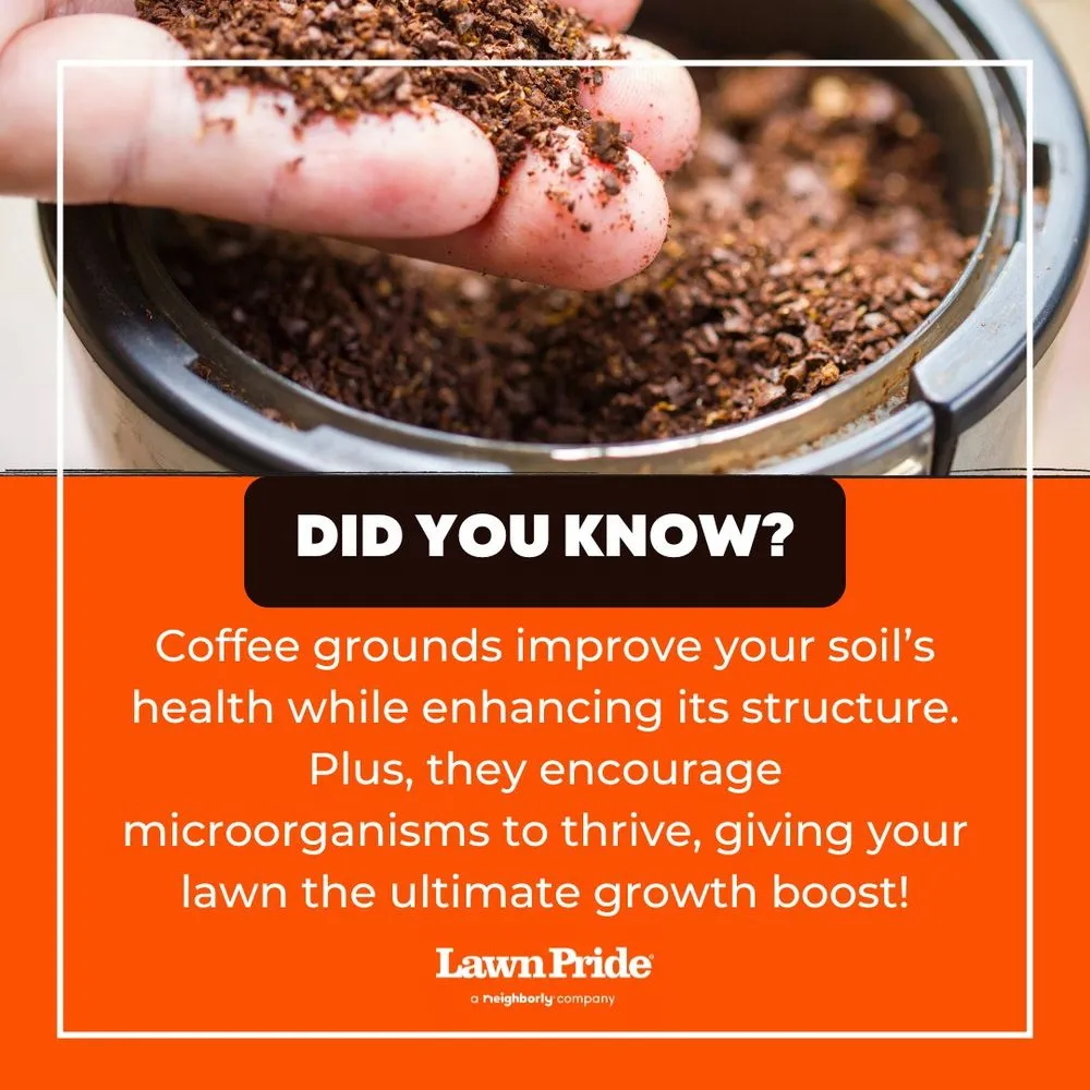 Custom garden landscaping for homes in Nashville, TN by Lawn Pride of North Nashville