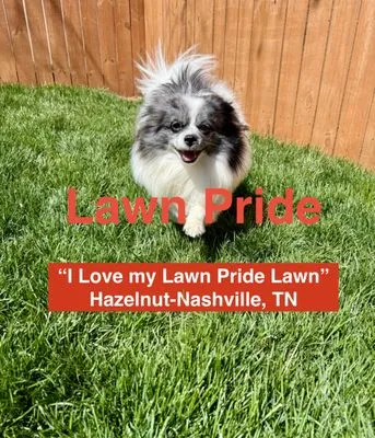 Lawn Pride of North Nashville Logo