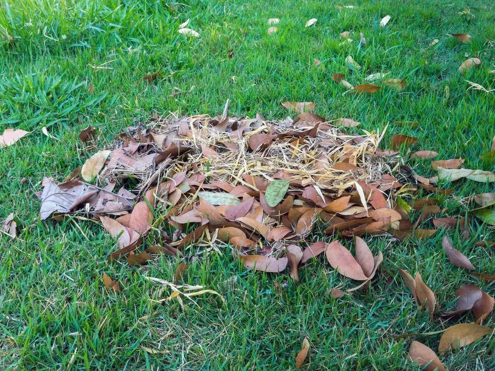 Reliable lawn care service in Islip, NY - Lawn Pride of Patchogue-Bay Shore