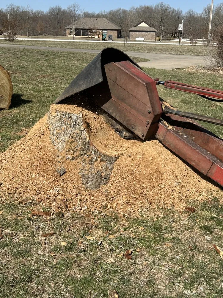 Professional lawn care service for beautiful yards across Strafford, MO - Lawn Pride Stump Grinding