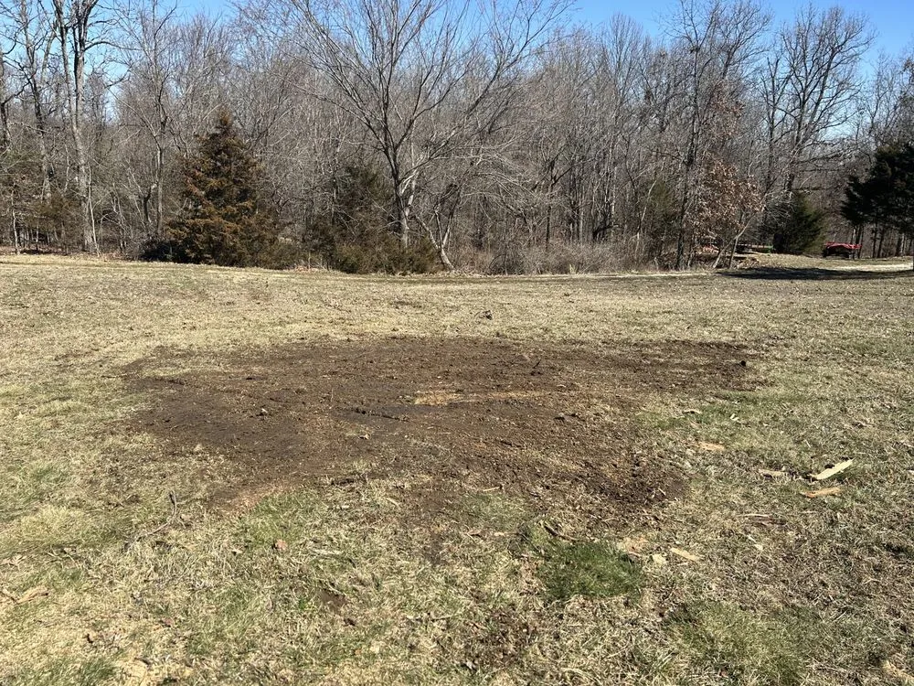 Affordable landscape design experts serving Strafford, MO - Lawn Pride Stump Grinding