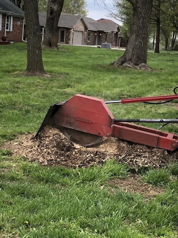 Affordable yard maintenance in Strafford, MO by Lawn Pride Stump Grinding