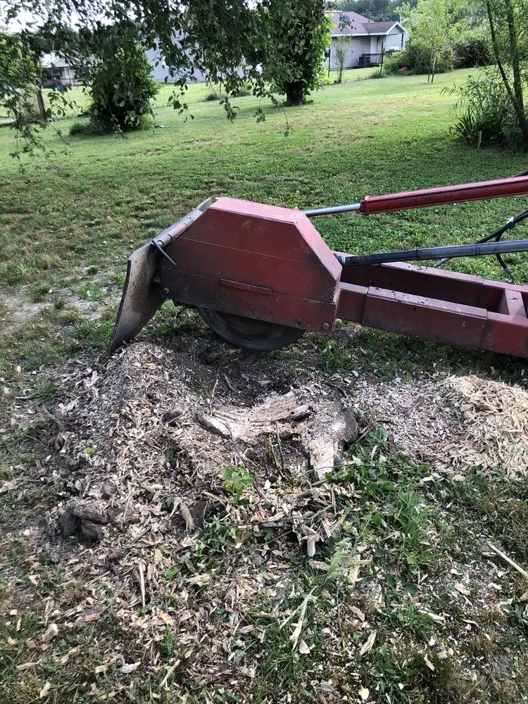 Expert landscape installation in Strafford, MO by Lawn Pride Stump Grinding
