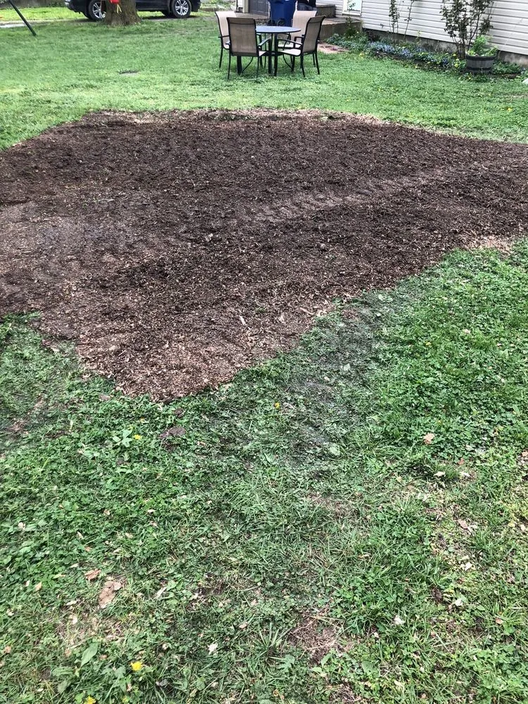 Trusted landscaping services in Strafford, MO - Lawn Pride Stump Grinding