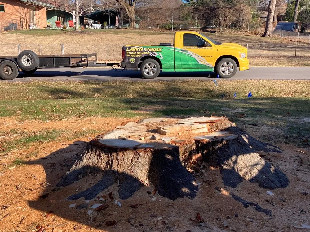 Affordable lawn mowing service in Strafford, MO by Lawn Pride Stump Grinding