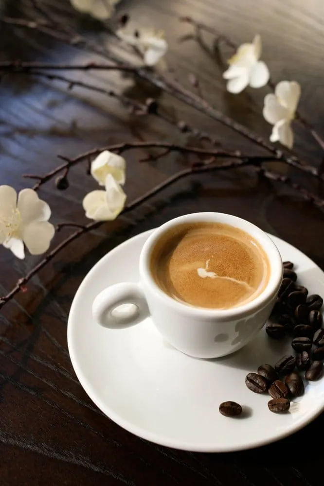 Expert landscape design in Strafford, MO - Lawn Pride Stump Grinding