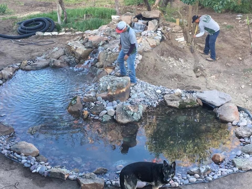 Trusted lawn mowing service for year-round maintenance in Weatherford, TX by Lawn Pride Texas