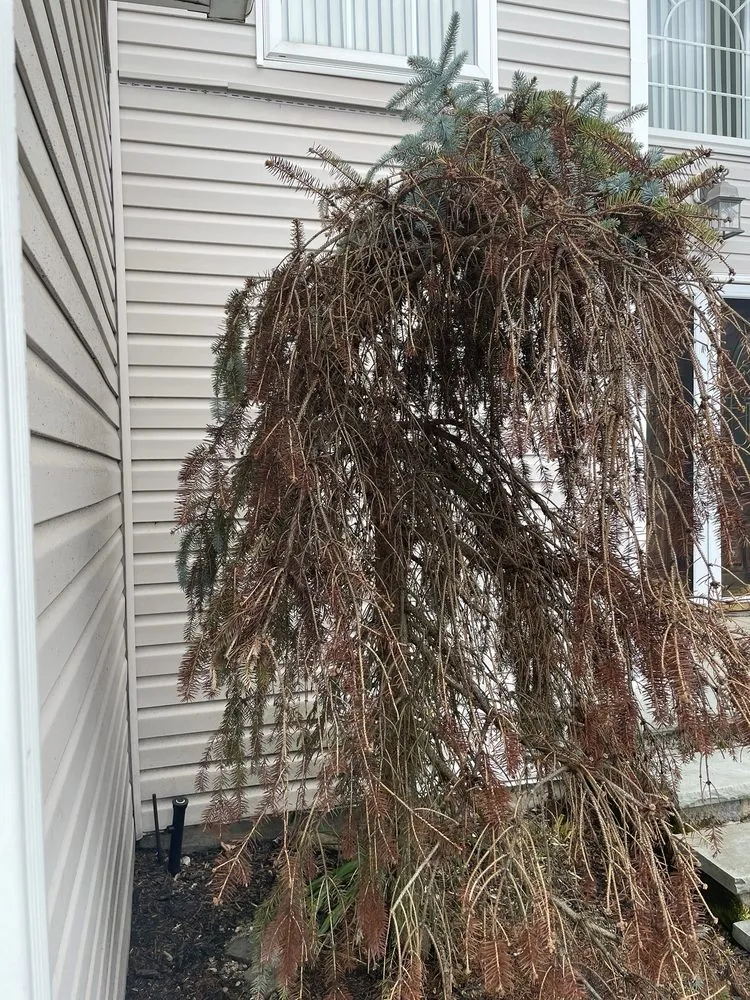 Custom landscaping services in Miller Place, NY - Lawn Pro Green Leaf