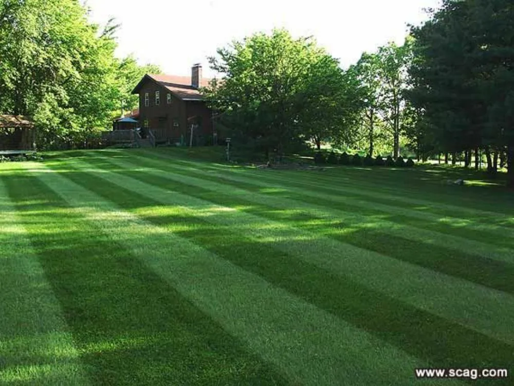 Trusted landscape design in Monticello, KY - Lawn PRO