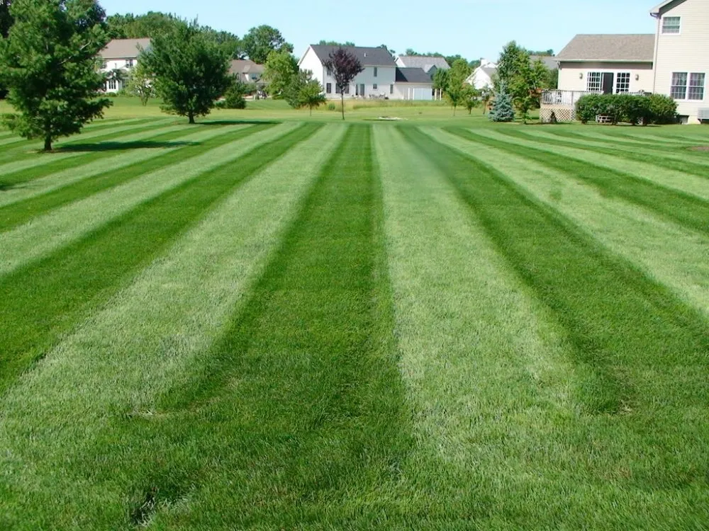 Local landscape installation in Monticello, KY - Lawn PRO