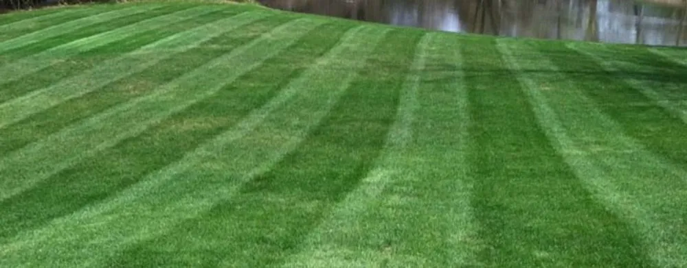 Professional landscape installation for residential properties in Monticello, KY by Lawn PRO