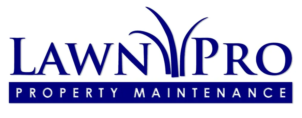 Local yard cleanup service for outdoor upgrades in Wellford, SC by Lawn Pro Property Maintenance