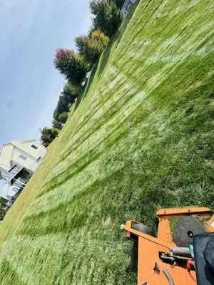 Lawn Pro Services Logo