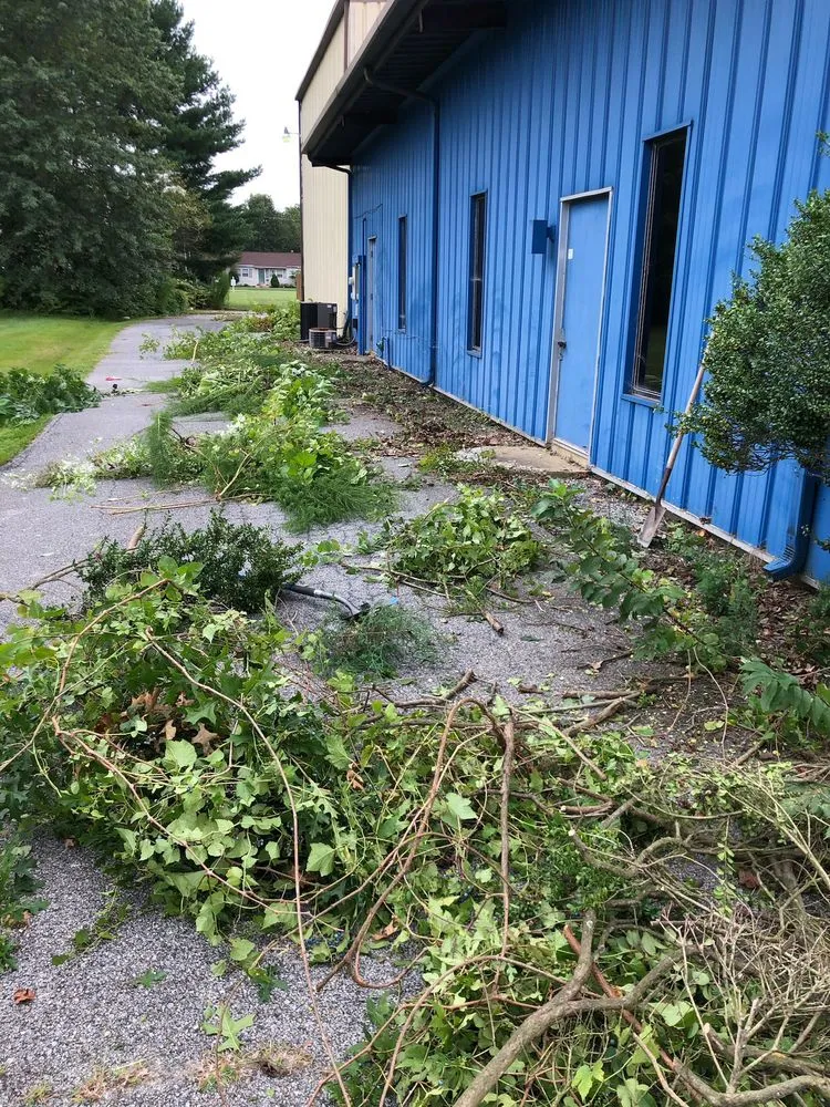 Custom landscape design for residential properties across Georgetown, DE - Lawn Pro Services