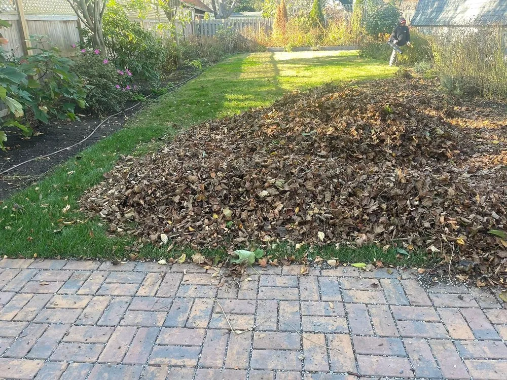 Affordable yard maintenance experts serving Georgetown, DE - Lawn Pro Services