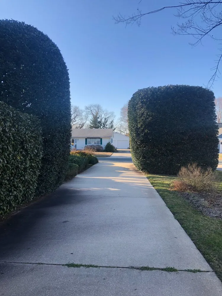 Expert outdoor landscaping with custom design in Georgetown, DE by Lawn Pro Services