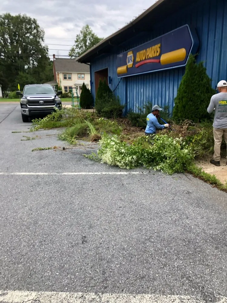 Affordable landscaping services for outdoor upgrades in Georgetown, DE by Lawn Pro Services