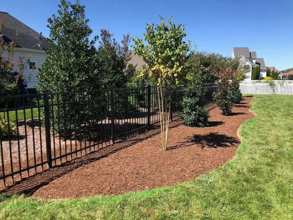Affordable yard cleanup service for beautiful yards in Georgetown, DE by Lawn Pro Services