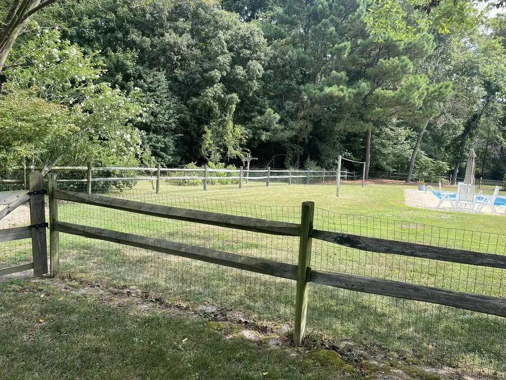 Professional yard cleanup service in Georgetown, DE - Lawn Pro Services