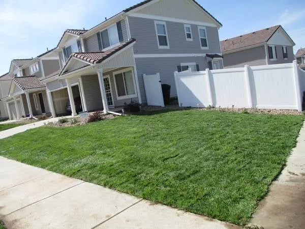 Reliable landscaping services with custom design across Aurora, CO - Lawn Pro Solutions