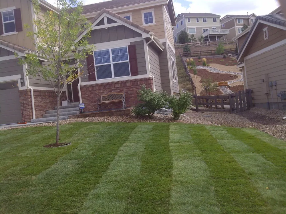 Trusted yard maintenance for residential properties across Aurora, CO - Lawn Pro Solutions