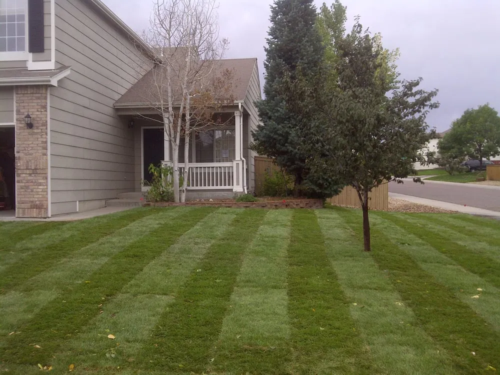 Professional lawn care service in Aurora, CO - Lawn Pro Solutions