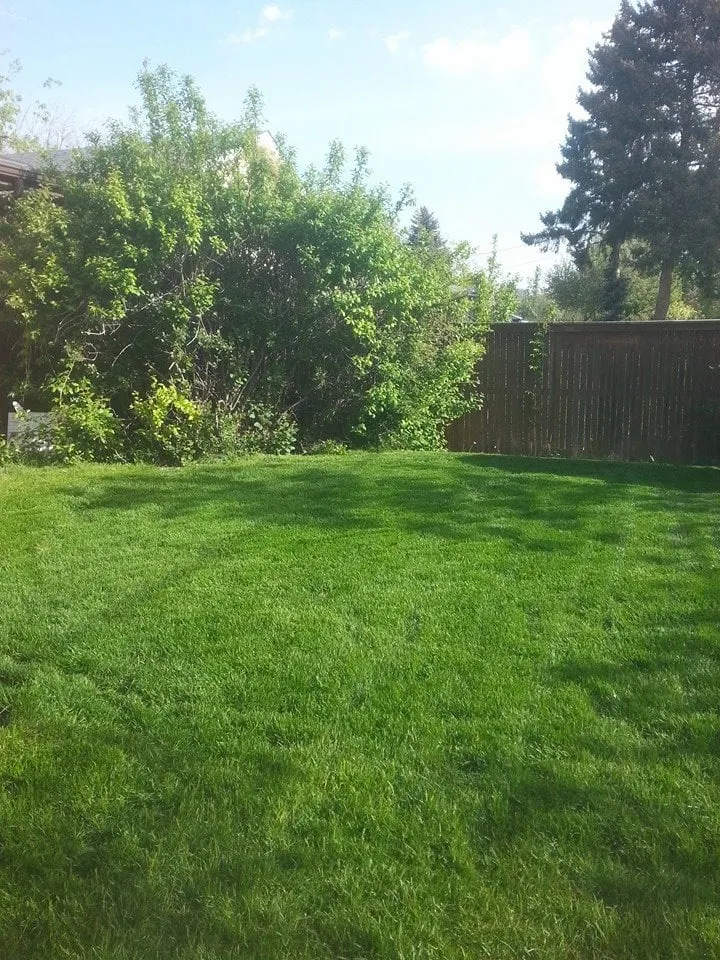 Trusted landscaping services for outdoor upgrades in Aurora, CO by Lawn Pro Solutions