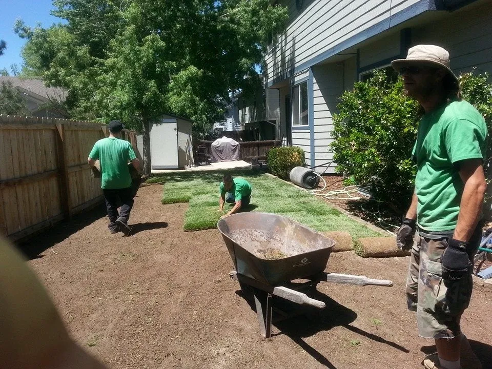 Custom lawn mowing service experts serving Aurora, CO - Lawn Pro Solutions