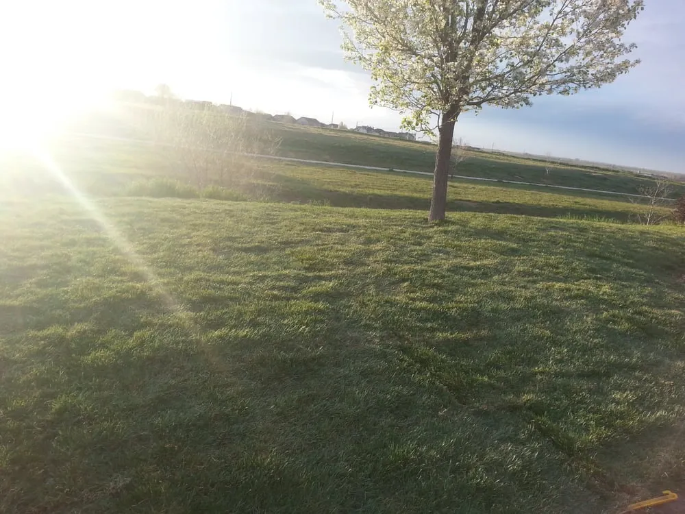 Local lawn care service for outdoor upgrades in Aurora, CO by Lawn Pro Solutions