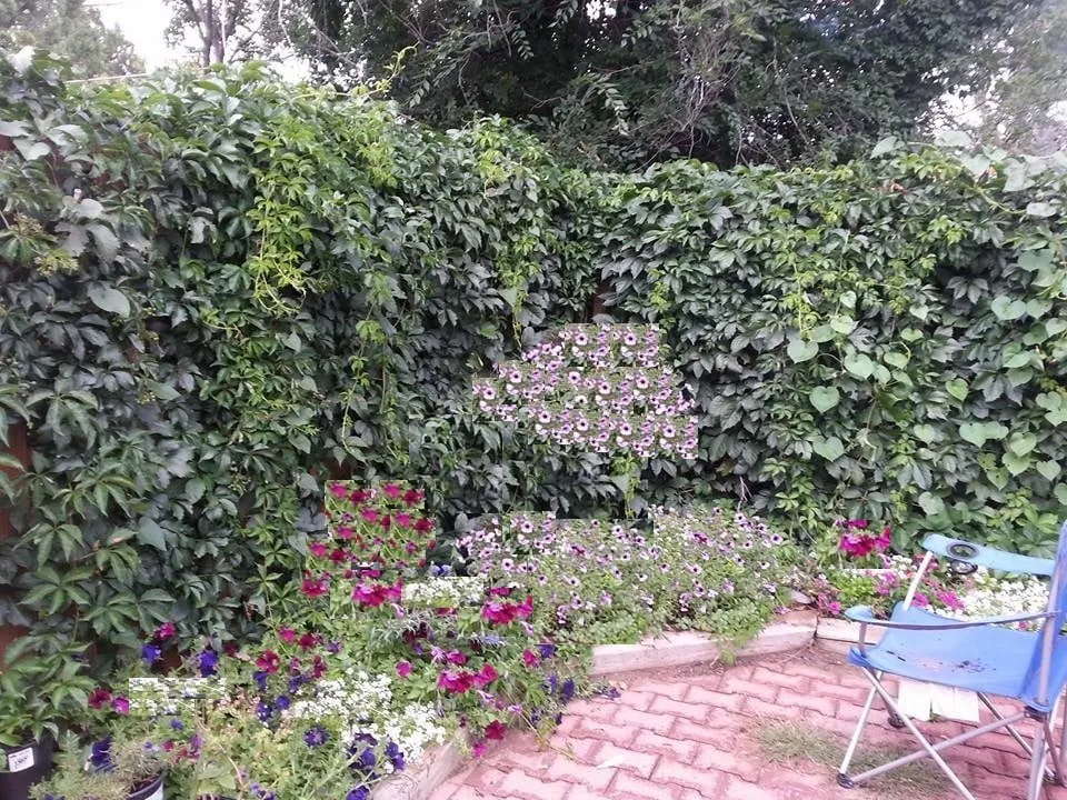 Affordable landscape installation in Aurora, CO by Lawn Pro Solutions