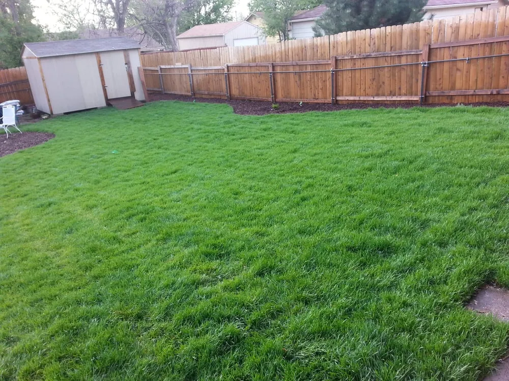 Trusted yard cleanup service for homes across Aurora, CO - Lawn Pro Solutions
