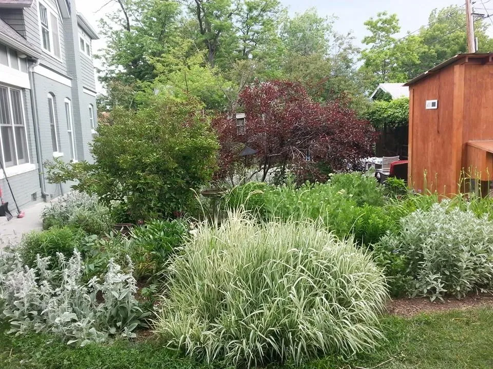 Top-rated landscape installation in Aurora, CO - Lawn Pro Solutions