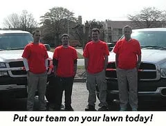 Reliable yard cleanup service experts serving Virginia Beach, VA - Lawn Pro