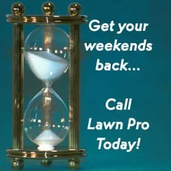 Professional lawn care service in Virginia Beach, VA - Lawn Pro