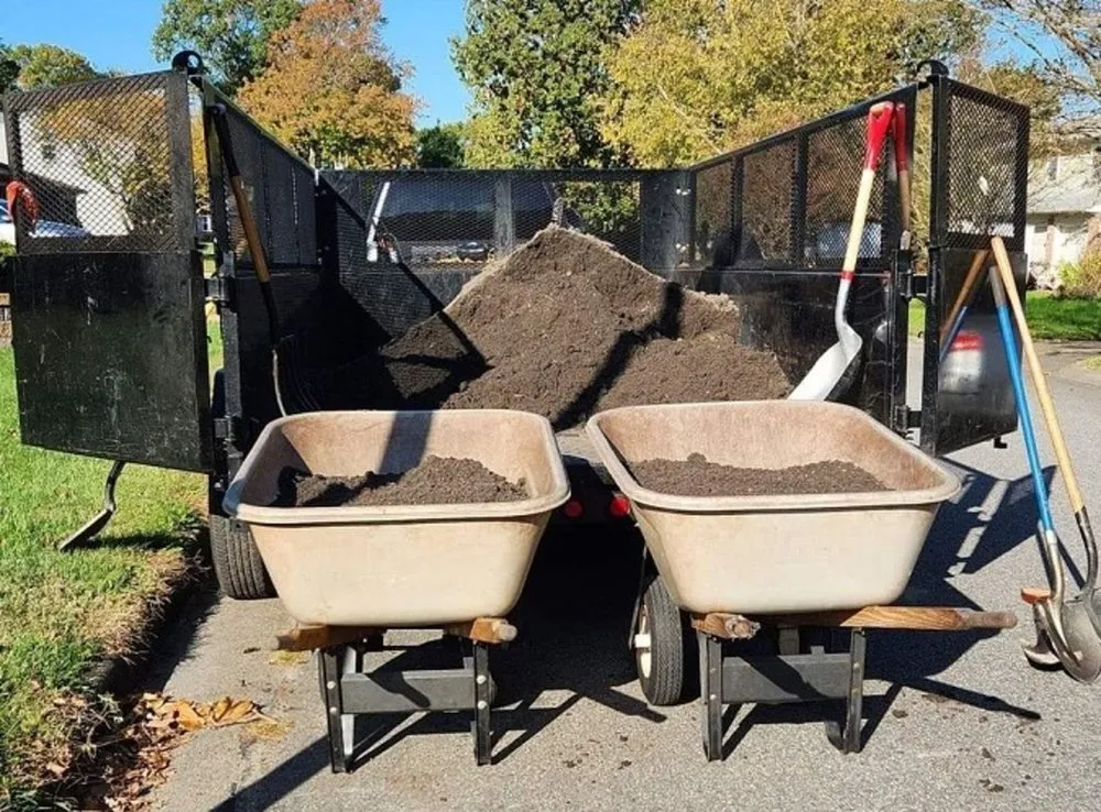 Affordable yard maintenance in Virginia Beach, VA - Lawn Pro