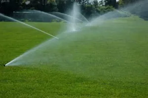 Custom garden landscaping for outdoor upgrades in Wall Township, NJ by Lawn Pro