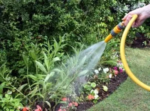 Local yard cleanup service experts serving Wall Township, NJ - Lawn Pro