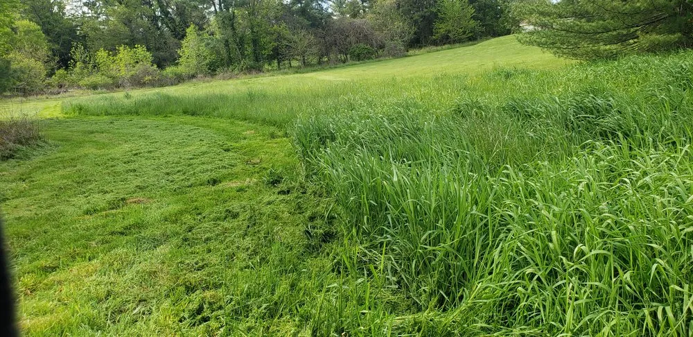 Reliable garden landscaping in Bucks, PA - Lawn Professionals